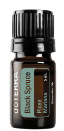 Black Spruce Essential Oil