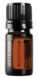 Arborvitae Essential Oil